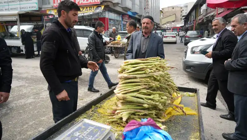 Dağlık Alanlardan Toplanan Şekerin Şifa Etkisi: Kanser ve Mide Hastalıklarına Karşı Alternatif Çözüm