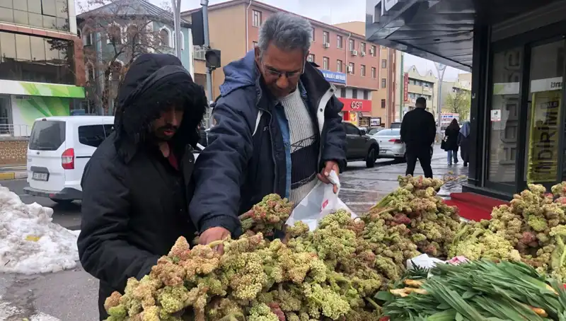 Kendiliğinden Yeten Vitamin Deposunun Kanserle Mücadeledeki Rolü Nedir?